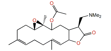 Sinulamine II